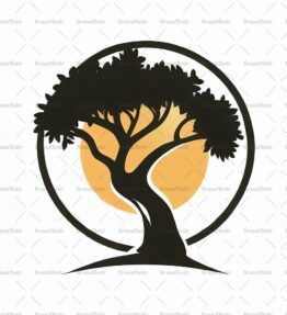 Baumsilhouette und Sonne